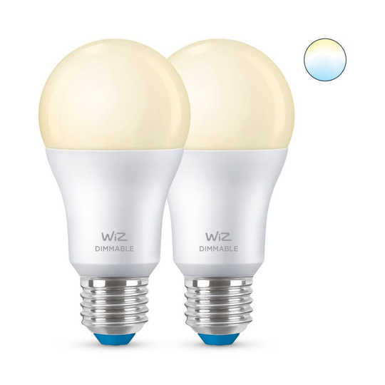 E27 60W Wiz Dim X2