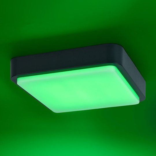 Paul Neuhaus Q-LENNY utomhusvägglampa, antracit