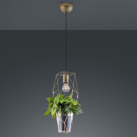Hänglampa Plant, 1 lampa med glasinsats för deko