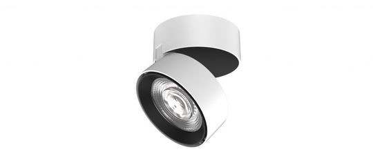 Universal downlight (Vit)