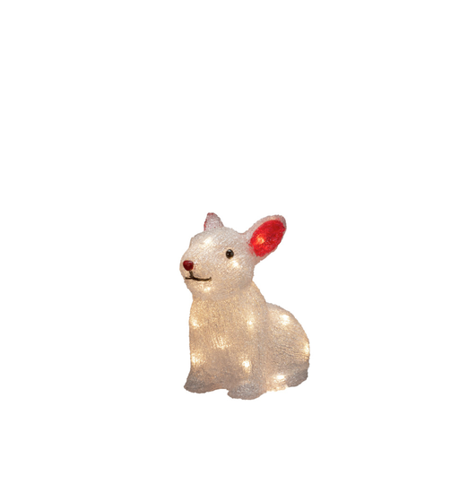 Kanin akryl 24 LED 4xAA (Klar)