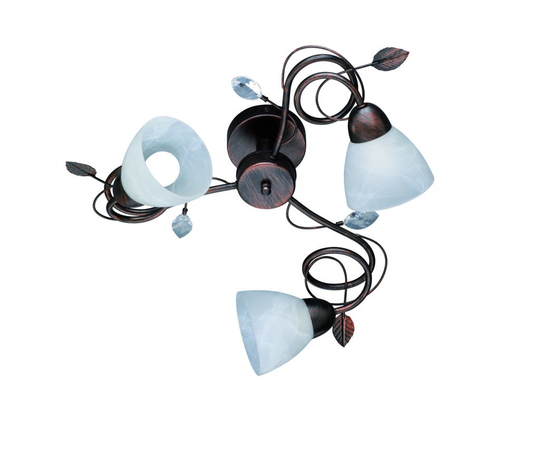 Traditio plafond