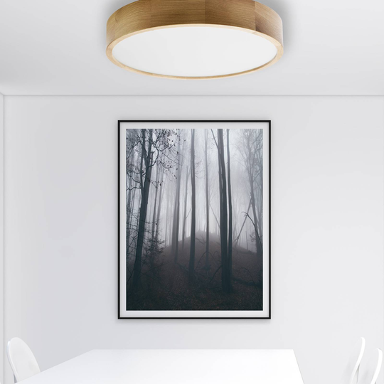 Taklampa Cleo DR475 sensor IP20 ek Ø 48 cm