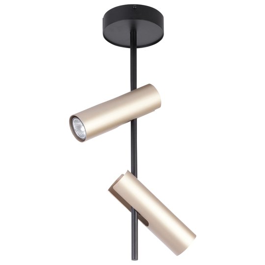 Takspot Leda 2, 2 lampor, svart-guld