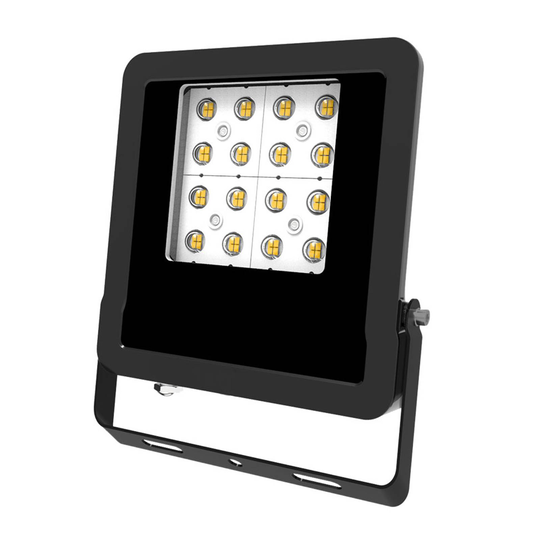 EVN Panthera utomhus LED-spot IP65 50 W 4 000 K