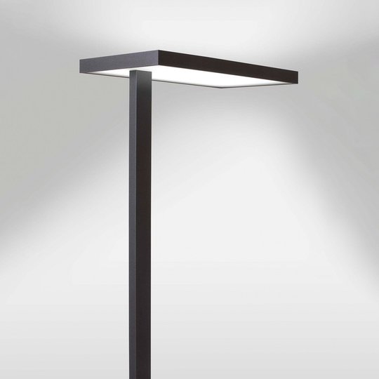 LED-kontorsgolvlampa Lola, 3 000 K, DALI