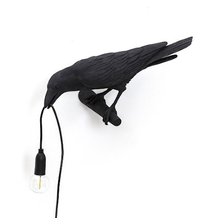 Bird Lamp Looking Svart