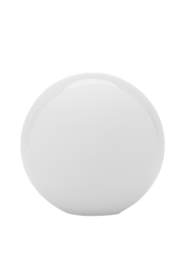 Spare Glass - Dione White
