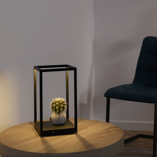 Paul Neuhaus Contura LED-bordslampa i svart