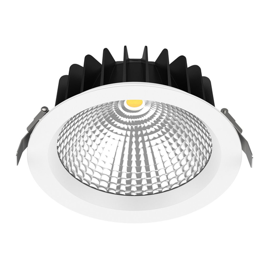 Downlight WLD-R20 4000K (Vit)