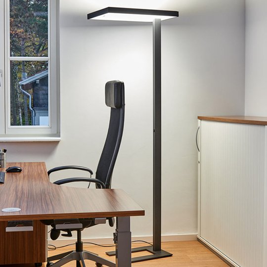 Kontors-LED-golvlampa Lola 4 000 K, DALI