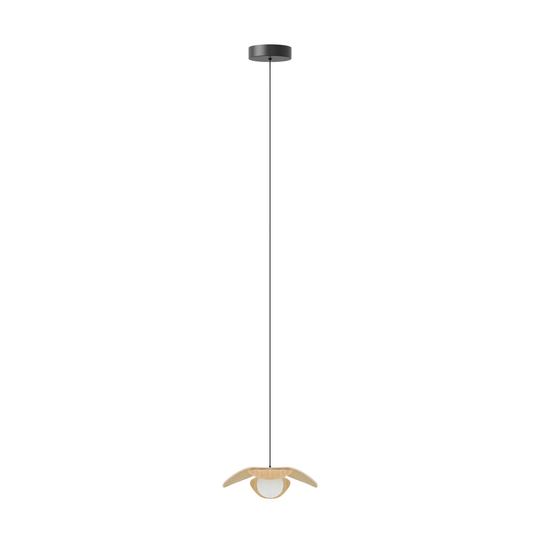 UMAGE Forget Me Not mini pendel 1 lampa, ek