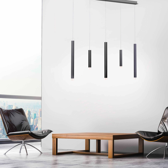 Paul Neuhaus Pure-Gemin LED-pendellampa svart