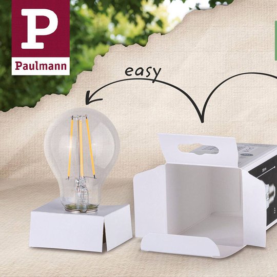 Paulmann LED-glob E27 Inner Shape G95 4 W matt