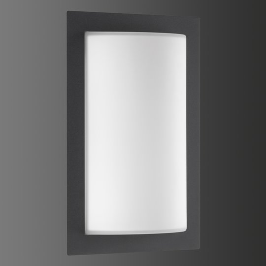 Grafitfärgad utomhusvägglampa Luis med LED