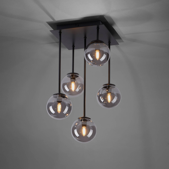 Paul Neuhaus Widow LED-taklampa, 5 lampor